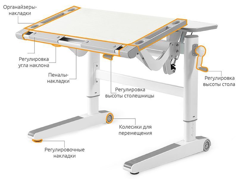 Дитячий стіл Mealux Ergowood L Multicolor W - стільниця біла / накладки на ніжках сірі BD-810 W/MC фото