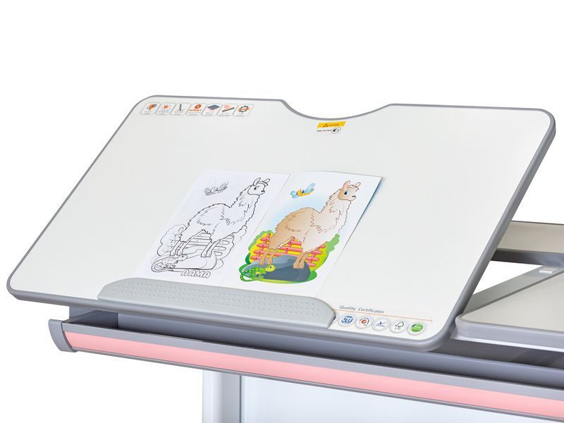 Дитячий стіл Mealux Vancouver Multicolor PN з полицею S50 Pink BD-620 W/G MC+ PN+ S50 фото