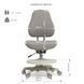 Комплект для підлітка парта Fundesk Fiore II Grey + крісло ортопедичне Cubby Paeonia Grey 1645005941 фото 8