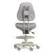 Комплект для підлітка парта Fundesk Fiore II Grey + крісло ортопедичне Cubby Paeonia Grey 1645005941 фото 3