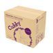 Дитяче ортопедичне крісло Cubby Solidago Grey 5748353 фото 7
