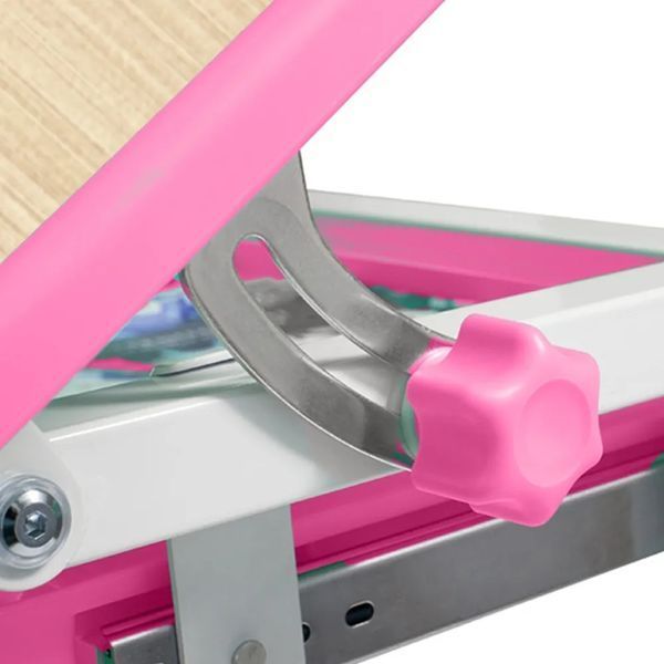 Комплект меблів для дитини FunDesk Piccolino III Pink 800232 фото