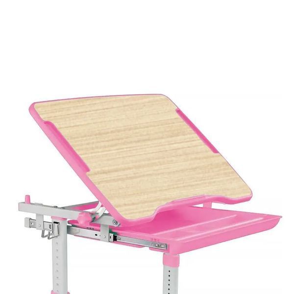 Комплект меблів для дитини FunDesk Piccolino III Pink 800232 фото